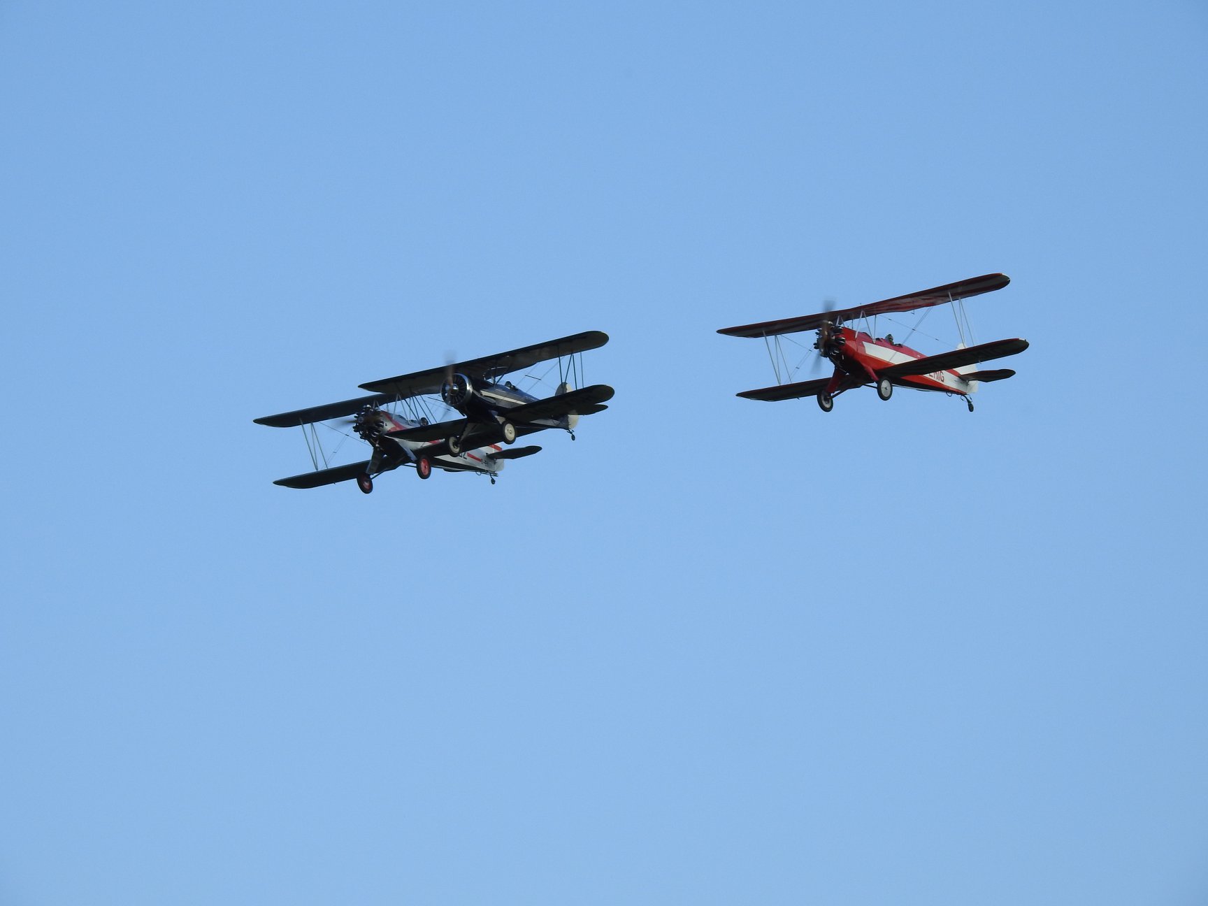 Formation with 2 Stieglietzes