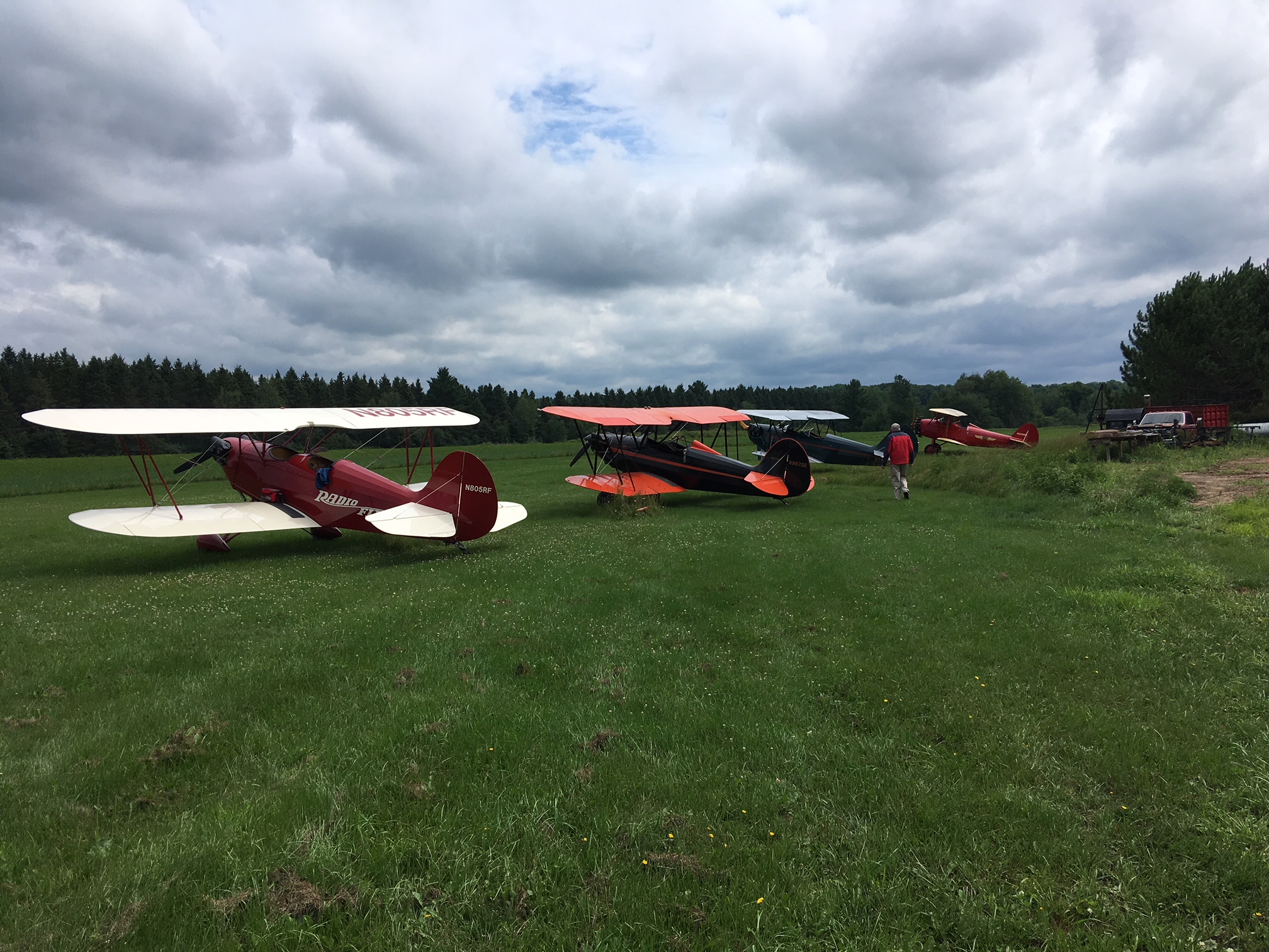 Hatz Biplanes at Hay Meadow Airfield.jpg